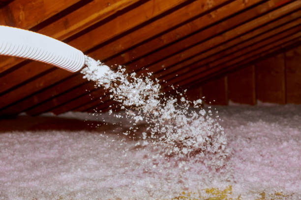 Insulation Contractors for Homes in Travelers Rest, SC