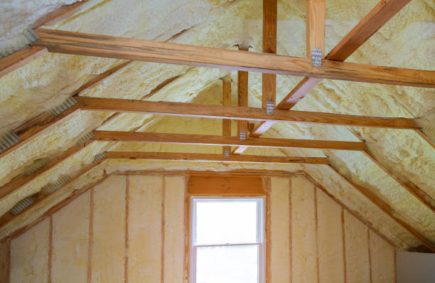Best Insulation Contractors for Homes  in Travelers Rest, SC
