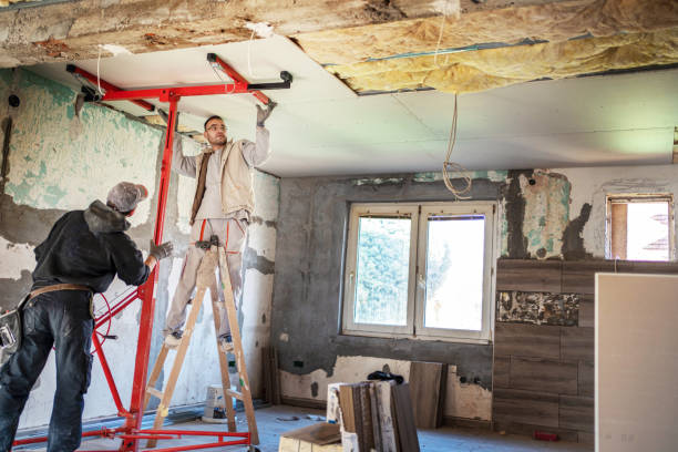 Best Insulation Replacement Services  in Travelers Rest, SC