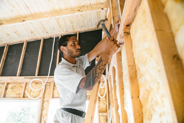 Best Insulation for New Construction  in Travelers Rest, SC