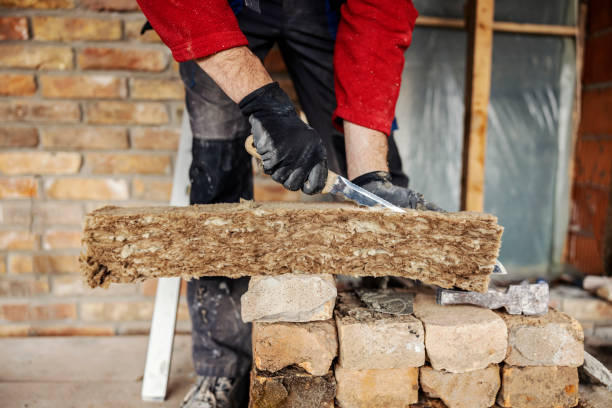 Best Insulation Removal  in Travelers Rest, SC