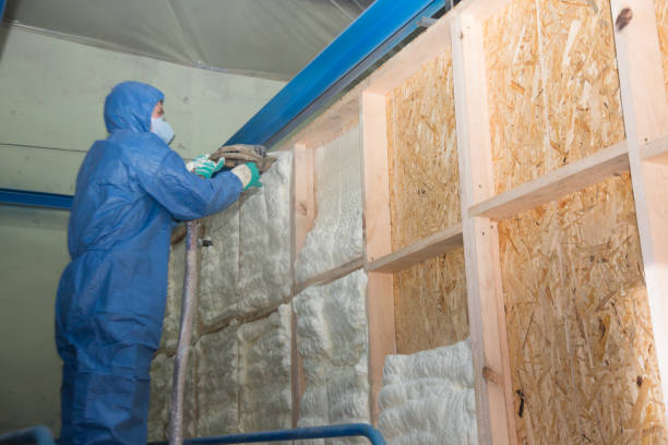 Professional Insulation Contractor in Travelers Rest, SC