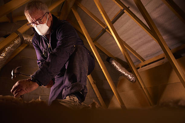 Best Fiberglass Insulation  in Travelers Rest, SC